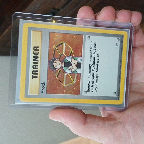 Brock - Picture 3 of 3